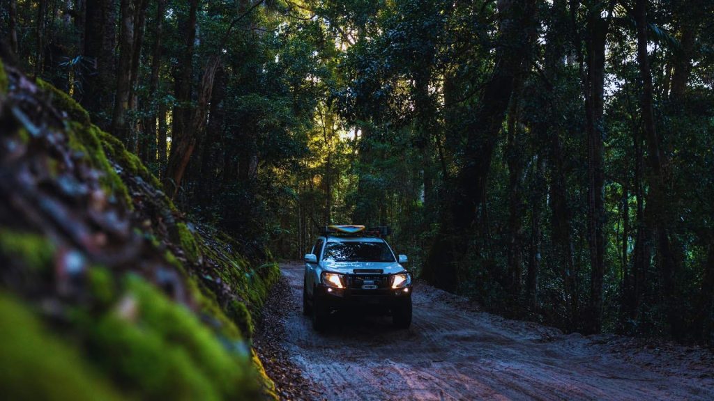 Off-road vehicle on a winding woodland track, headlights illuminating the path.